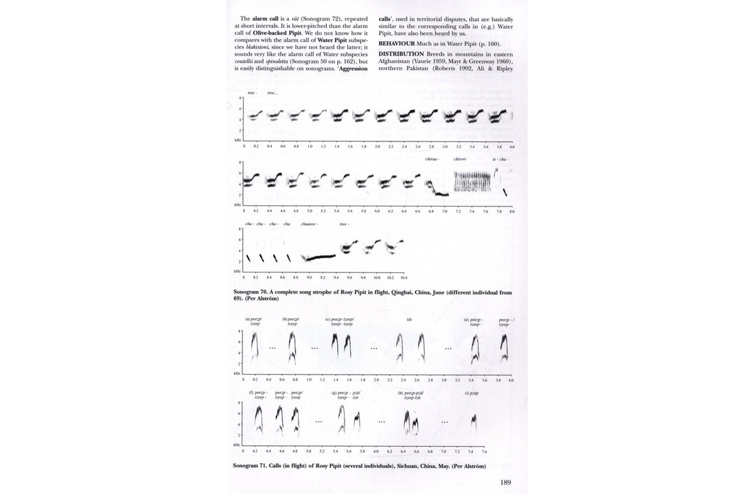 Pipits and Wagtails of Europe, Asia and North America