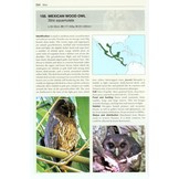 Owls of the World - A Photographic Guide