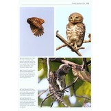 Owls of the World - A Photographic Guide