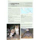 Owls of the World - A Photographic Guide