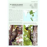 Woodpeckers of the World - The Complete Guide