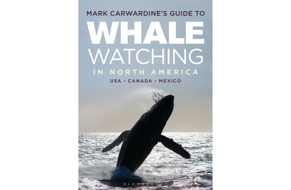 Mark Carwardine's Guide to Whale Watching in North America- USA - Canada - Mexico