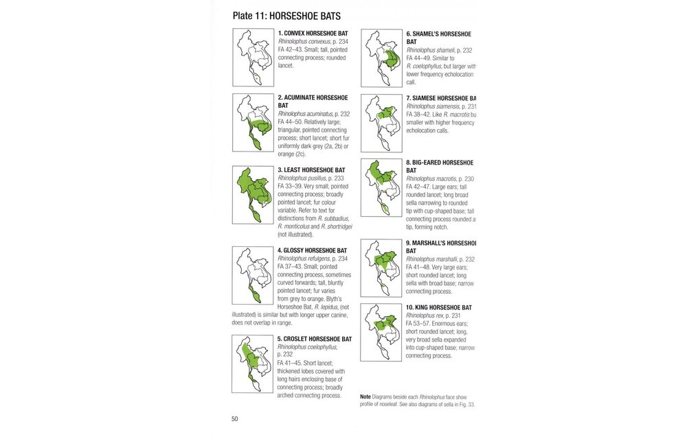Field Guide to the Mammals of South-East Asia