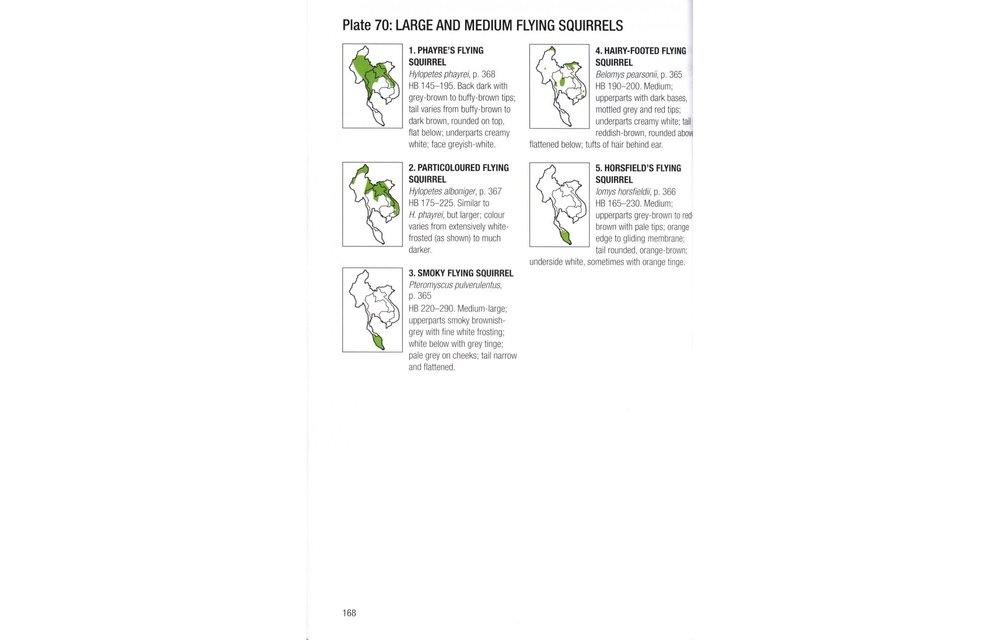 Field Guide to the Mammals of South-East Asia