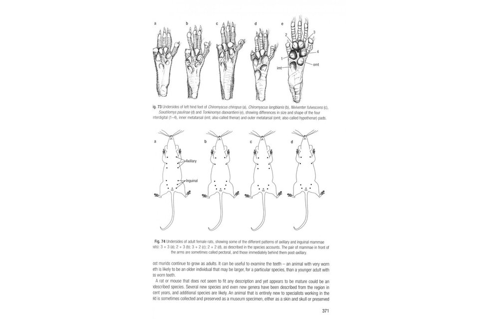 Field Guide to the Mammals of South-East Asia