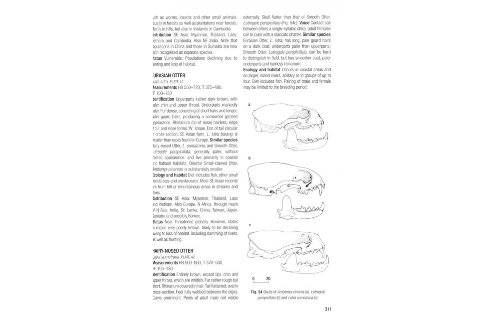 Field Guide to the Mammals of South-East Asia