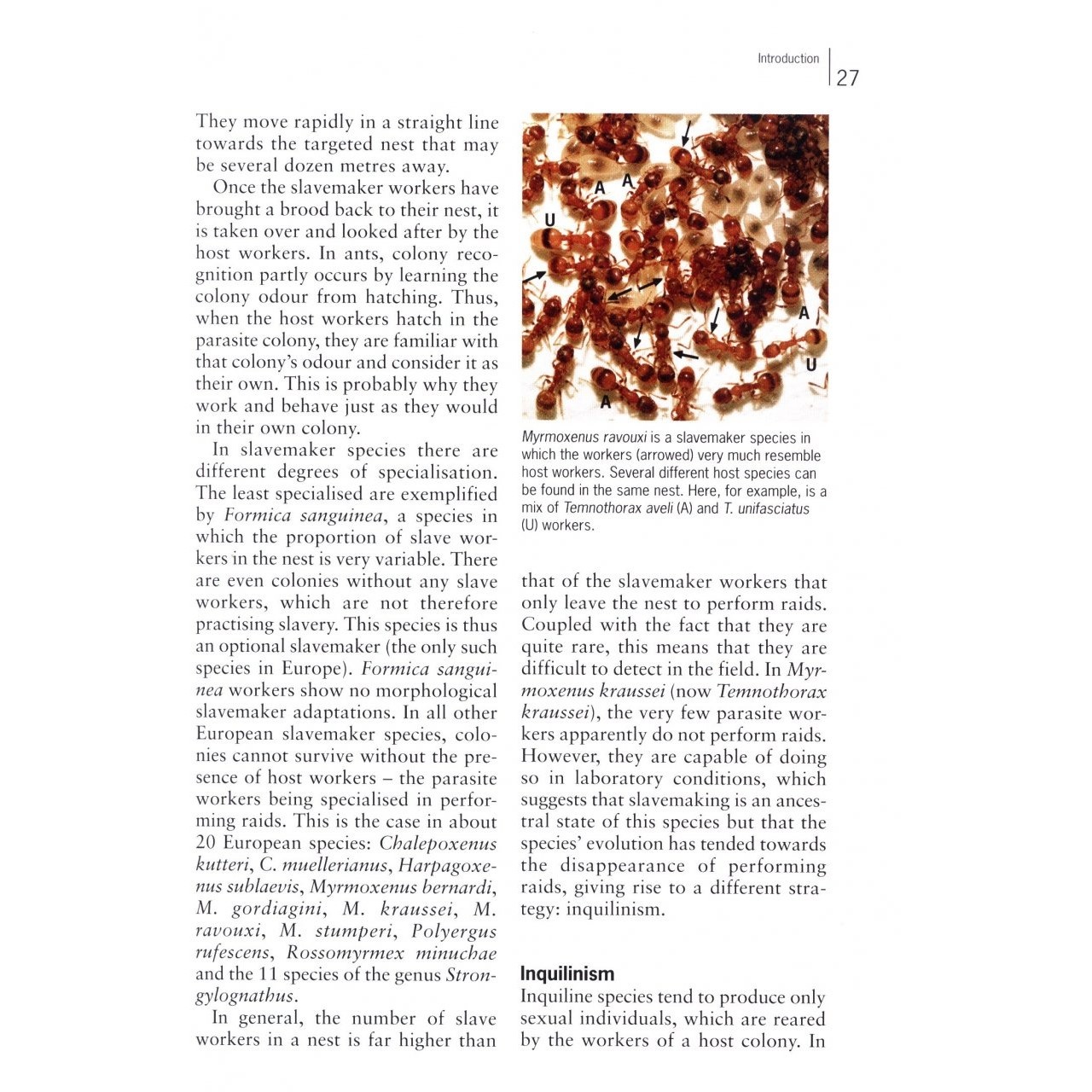 Ants of Britain and Europe: A Photographic Guide