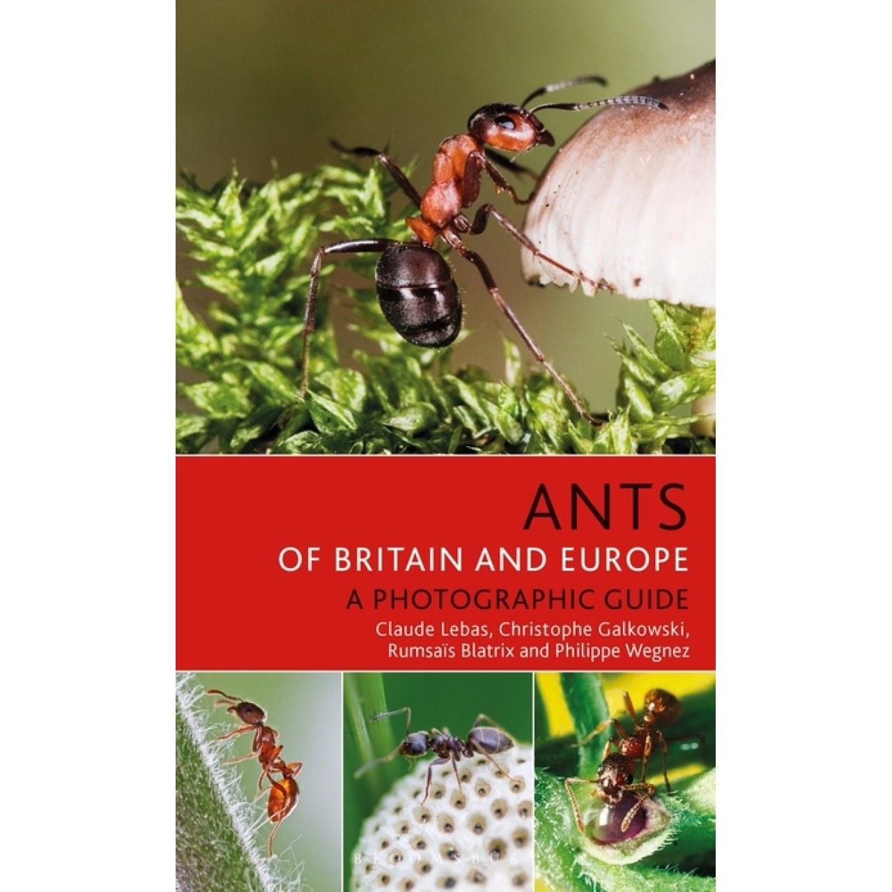Ants of Britain and Europe: A Photographic Guide