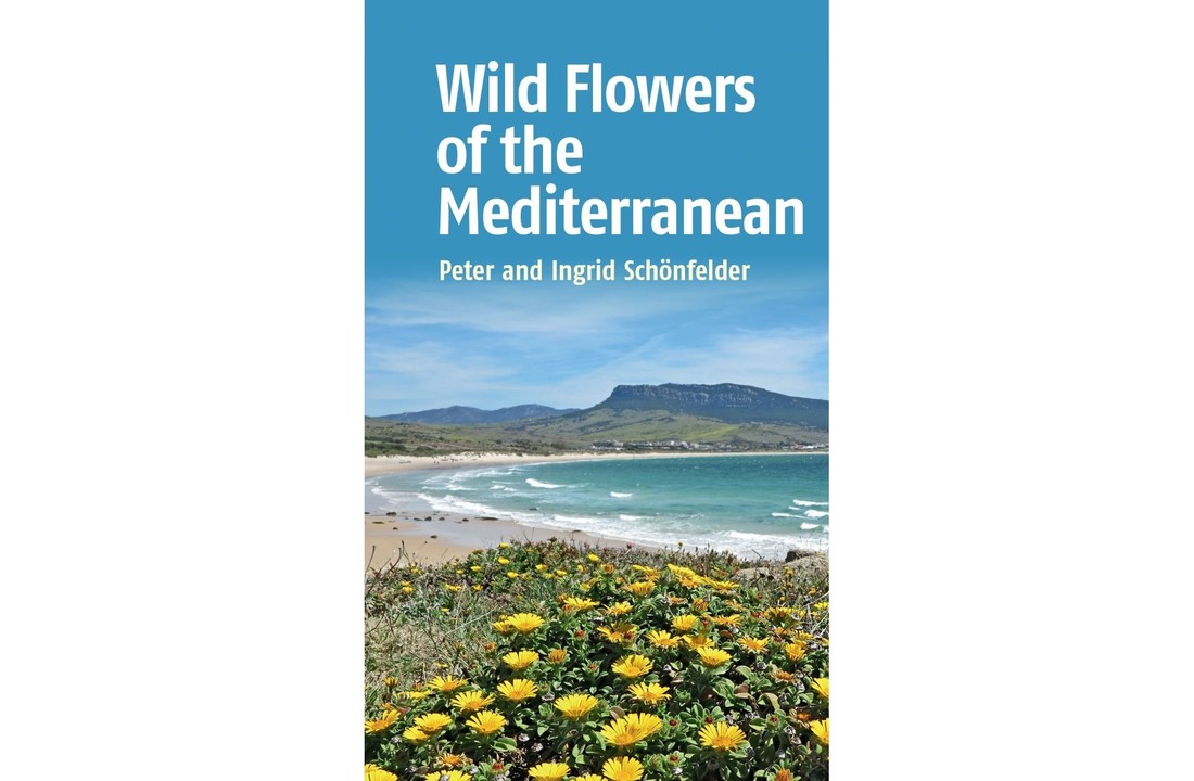 Wild Flowers of the Mediterranean