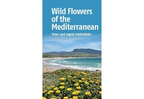 Wild Flowers of the Mediterranean