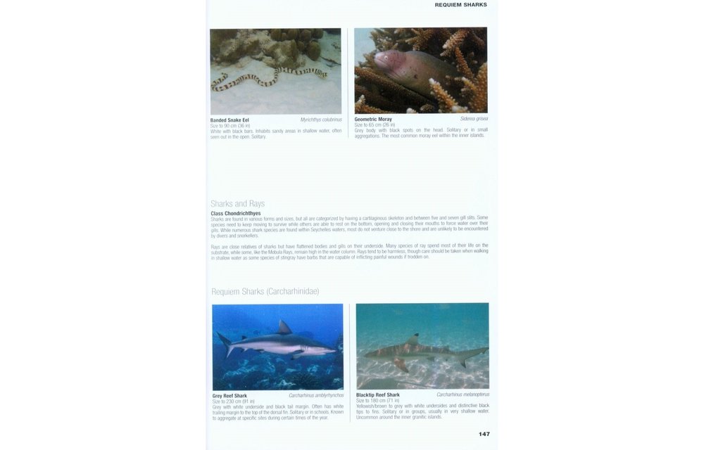 Underwater Guide to Seychelles - The best diving & snorkelling sites with ID guide to reef fishes, invertebrates, corals and megafauna