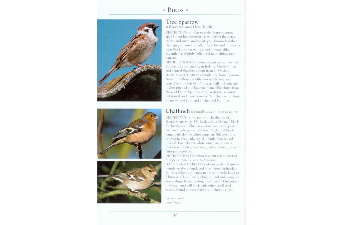 A Naturalist's Guide to the Garden Wildlife of Britain and Northern Europe