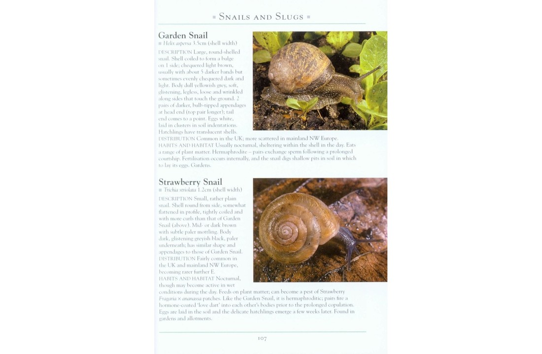 A Naturalist's Guide to the Garden Wildlife of Britain and Northern Europe
