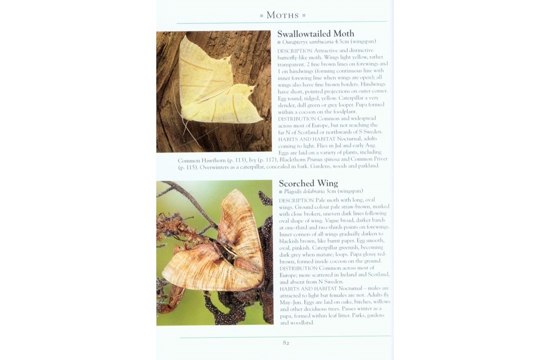 A Naturalist's Guide to the Garden Wildlife of Britain and Northern Europe