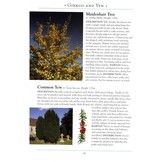 A Naturalist's Guide to the Trees of Britain and Northern Europe