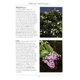 A Naturalist's Guide to the Trees of Britain and Northern Europe