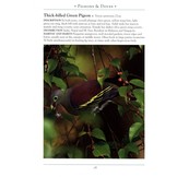 A Naturalist's Guide to the Birds of Fraser's Hill and the Highlands of Peninsular Malaysia