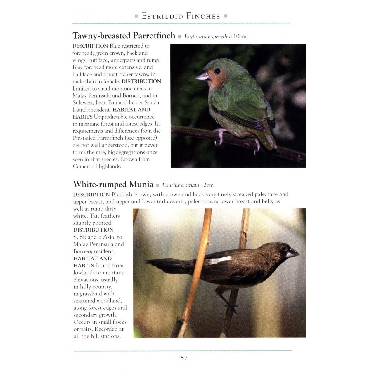 A Naturalist's Guide to the Birds of Fraser's Hill and the Highlands of Peninsular Malaysia