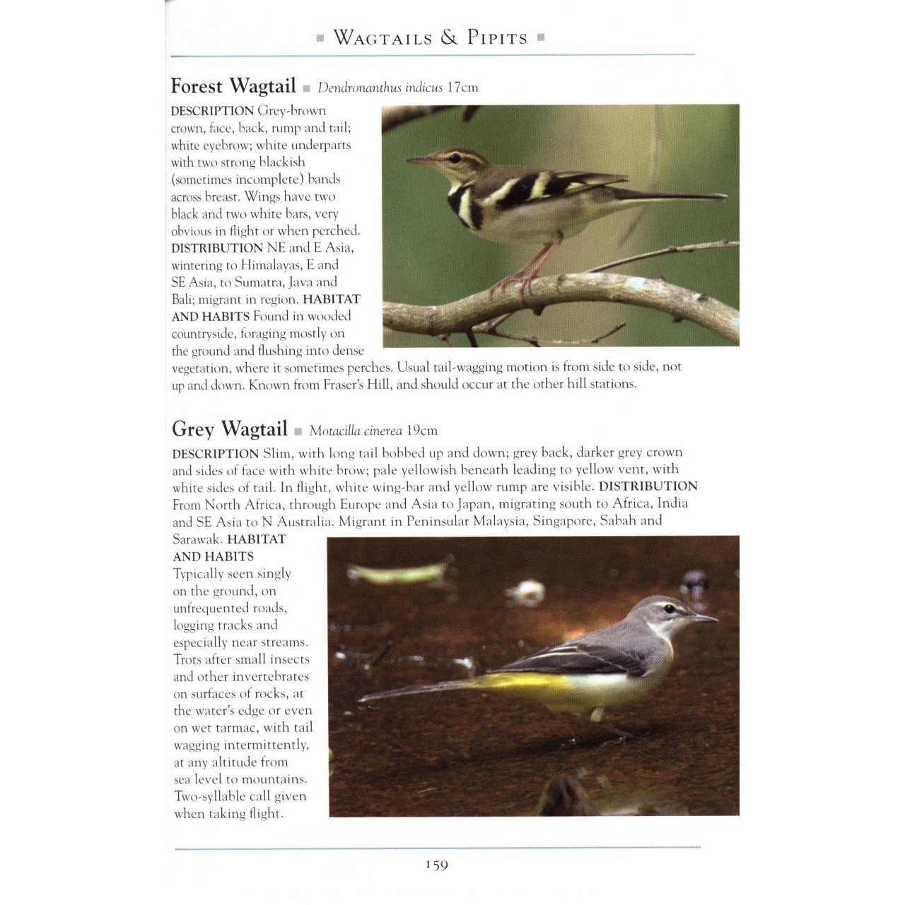A Naturalist's Guide to the Birds of Fraser's Hill and the Highlands of Peninsular Malaysia