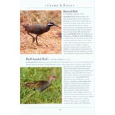 A Naturalist's Guide to the Birds of The Philippines