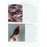A Naturalist's Guide to the Birds of The Philippines