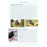 A Naturalist's Guide to the Birds of The Philippines
