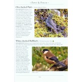 A Naturalist's Guide to the Birds of The Philippines