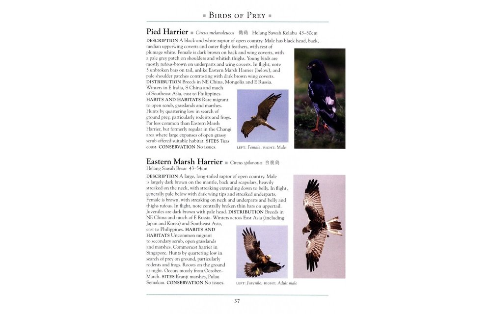 A Naturalist's Guide to the Birds of Singapore
