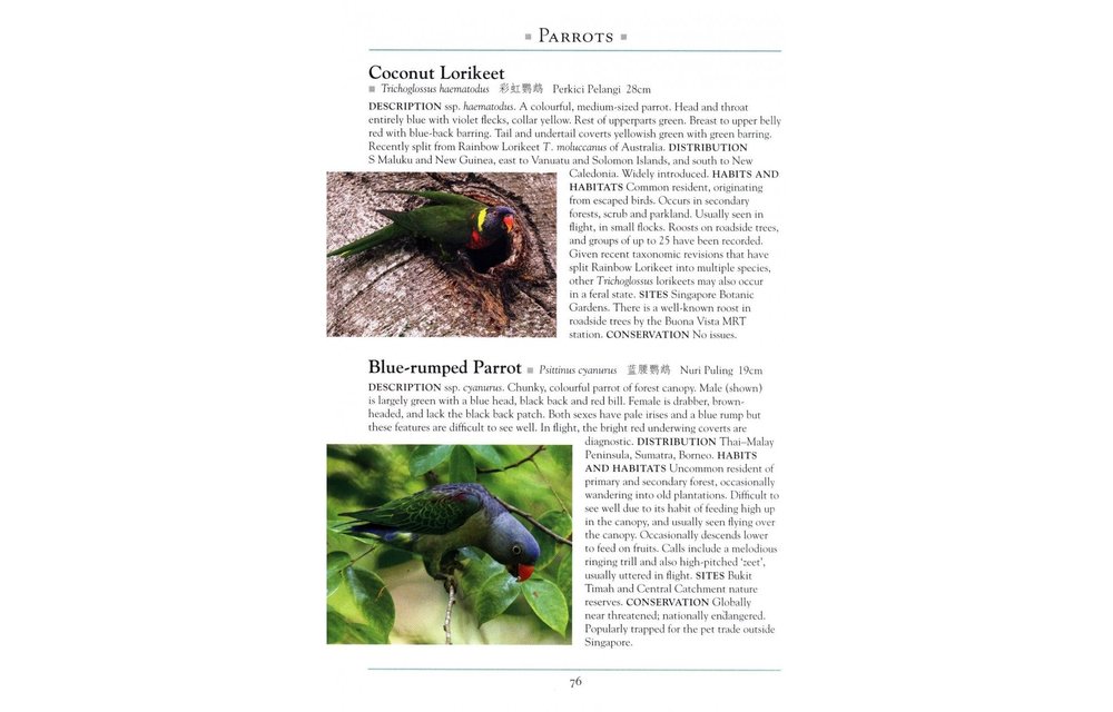 A Naturalist's Guide to the Birds of Singapore