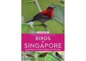A Naturalist's Guide to the Birds of Singapore