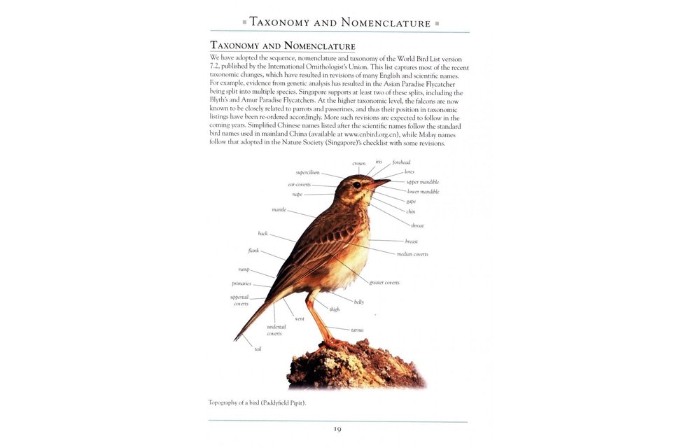 A Naturalist's Guide to the Birds of Singapore