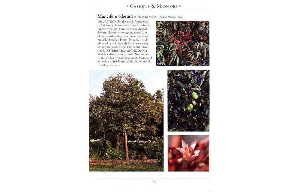 A Naturalist's Guide to the Trees of Southeast Asia