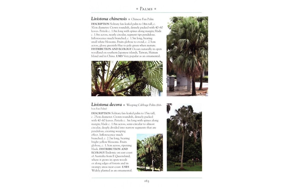 A Naturalist's Guide to the Trees of Southeast Asia