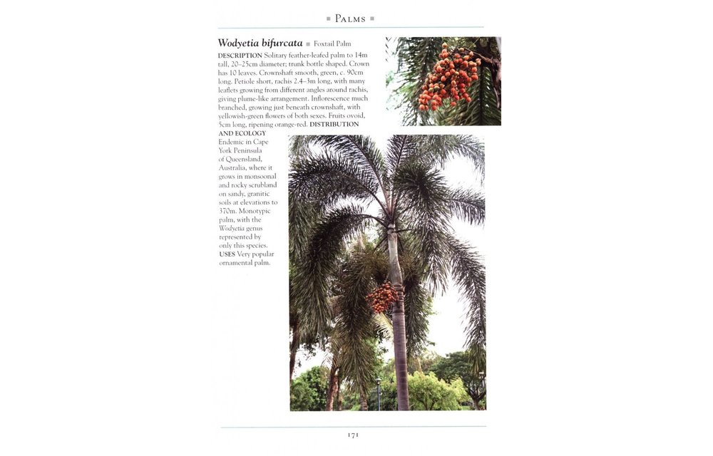A Naturalist's Guide to the Trees of Southeast Asia