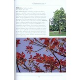 A Naturalist’s Guide to the Trees & Shrubs of India - Pakistan, Nepal, Bhutan, Bangladesh and Sri Lanka