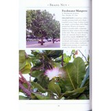 A Naturalist’s Guide to the Trees & Shrubs of India - Pakistan, Nepal, Bhutan, Bangladesh and Sri Lanka