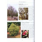 A Naturalist’s Guide to the Trees & Shrubs of India - Pakistan, Nepal, Bhutan, Bangladesh and Sri Lanka