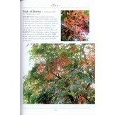 A Naturalist’s Guide to the Trees & Shrubs of India - Pakistan, Nepal, Bhutan, Bangladesh and Sri Lanka