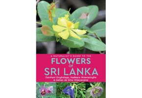 A Naturalist's Guide to the Flowers of Sri Lanka