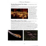 A Naturalist's Guide to the Reptiles of India - Bangladesh, Bhutan, Nepal, Pakistan and Sri Lanka