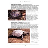 A Naturalist's Guide to the Reptiles of India - Bangladesh, Bhutan, Nepal, Pakistan and Sri Lanka