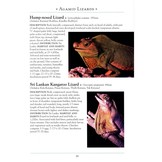 A Naturalist's Guide to the Reptiles of India - Bangladesh, Bhutan, Nepal, Pakistan and Sri Lanka