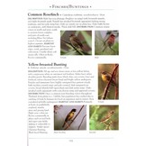 A Naturalist's Guide to the Birds of Thailand