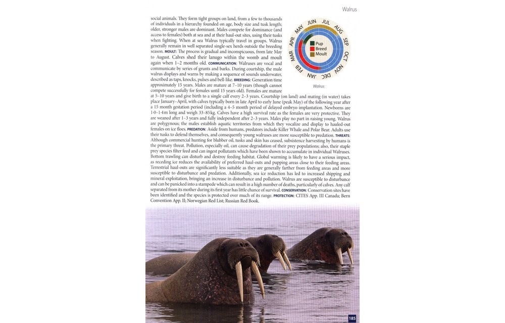 Europe's Sea Mammals Including the Azores, Madeira, the Canary Islands and Cape Verde - A Field Guide to the Whales, Dolphins, Porpoises and Seals