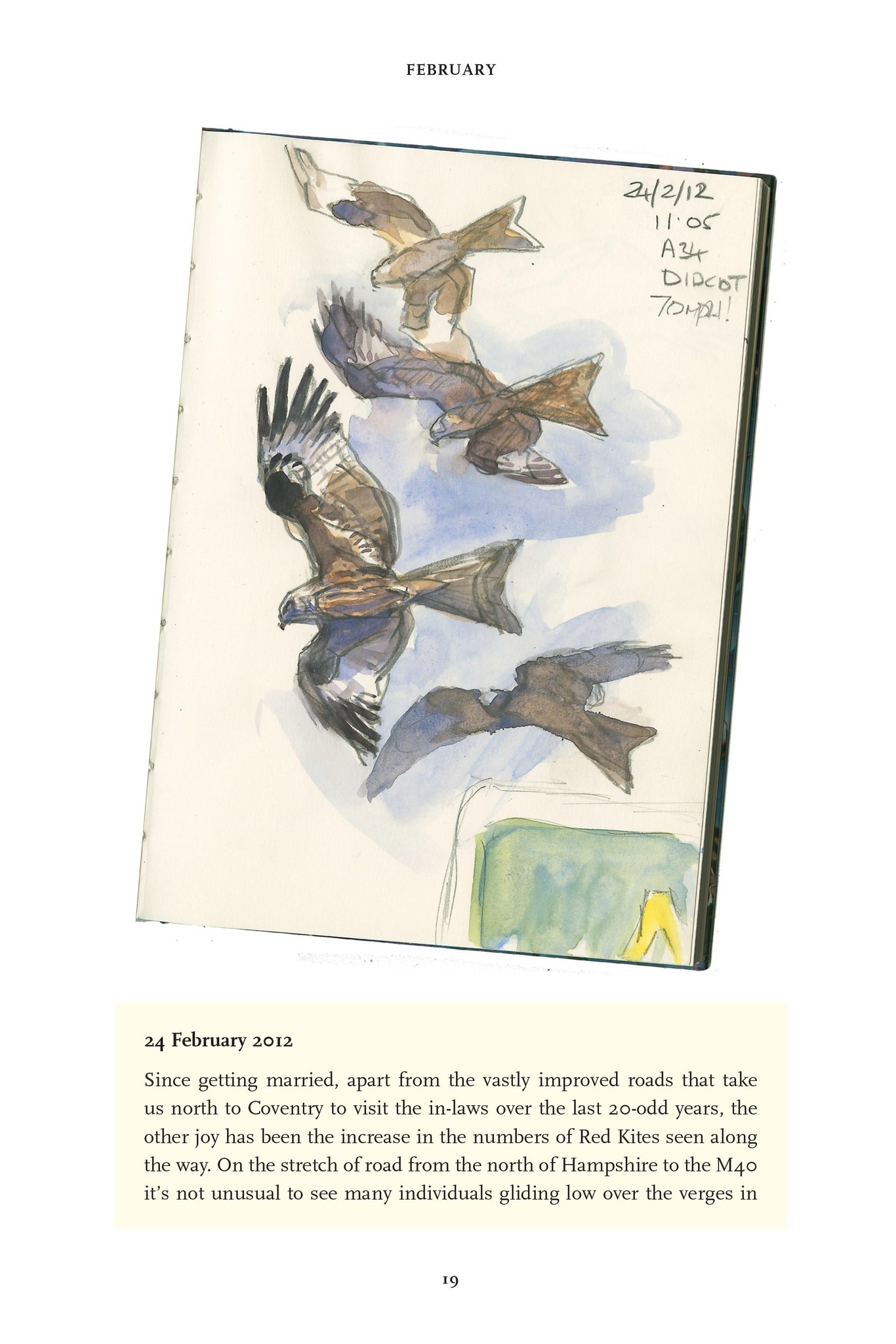 The Red Kite’s Year