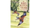 The Red Kite’s Year