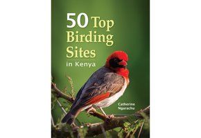 50 Top Birding Sites in Kenya