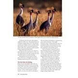 50 Top Birding Sites in Kenya