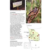 50 Top Birding Sites in Kenya