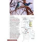 50 Top Birding Sites in Kenya